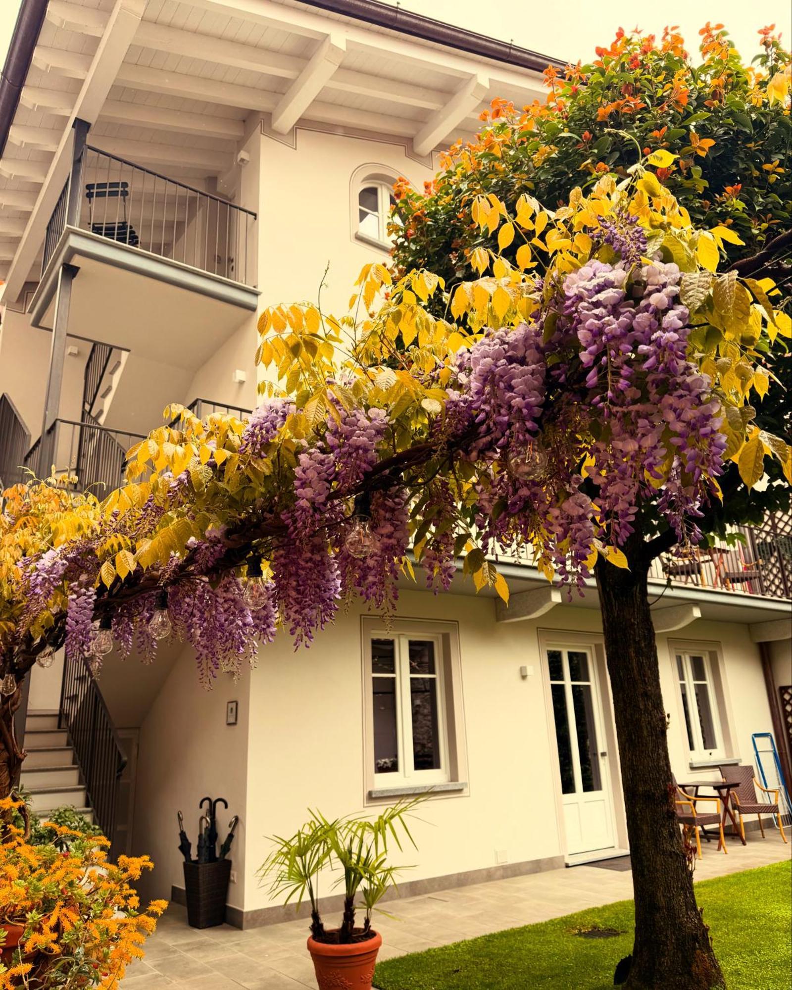 Garden Lodge Stresa Exterior photo